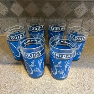 Blue Tumblers Set for Dining with Florida Design